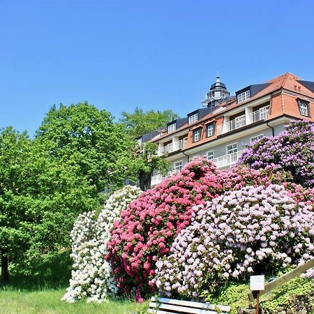 Ferienwohnung Natur Und Kunst Dresden Buitenkant foto