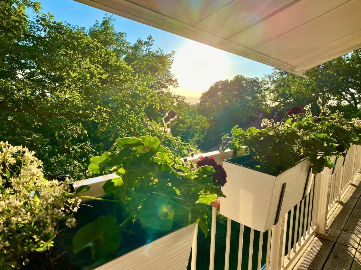 Ferienwohnung Natur Und Kunst Dresden Buitenkant foto