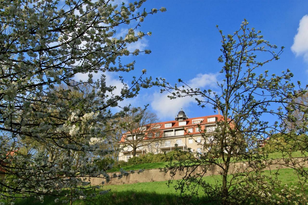 Ferienwohnung Natur Und Kunst Dresden Buitenkant foto