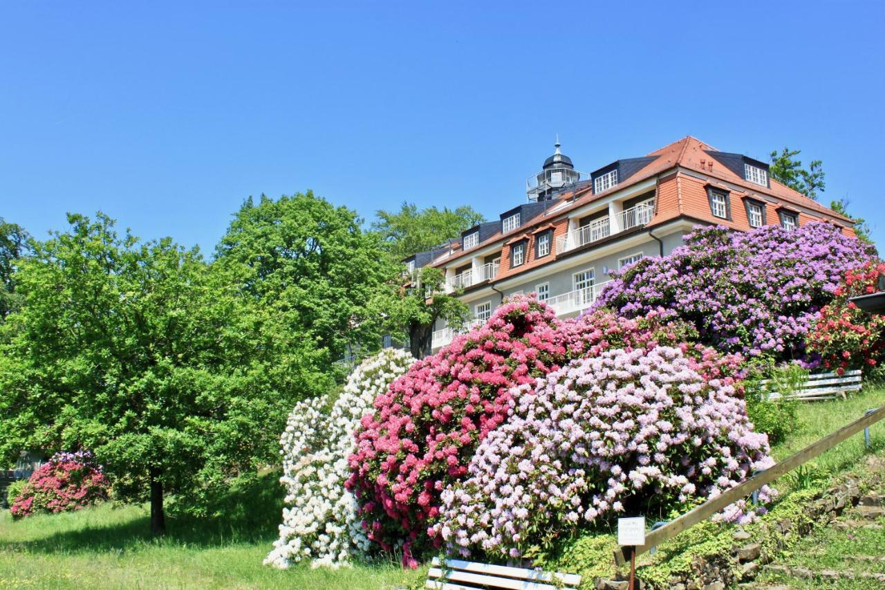 Ferienwohnung Natur Und Kunst Dresden Buitenkant foto