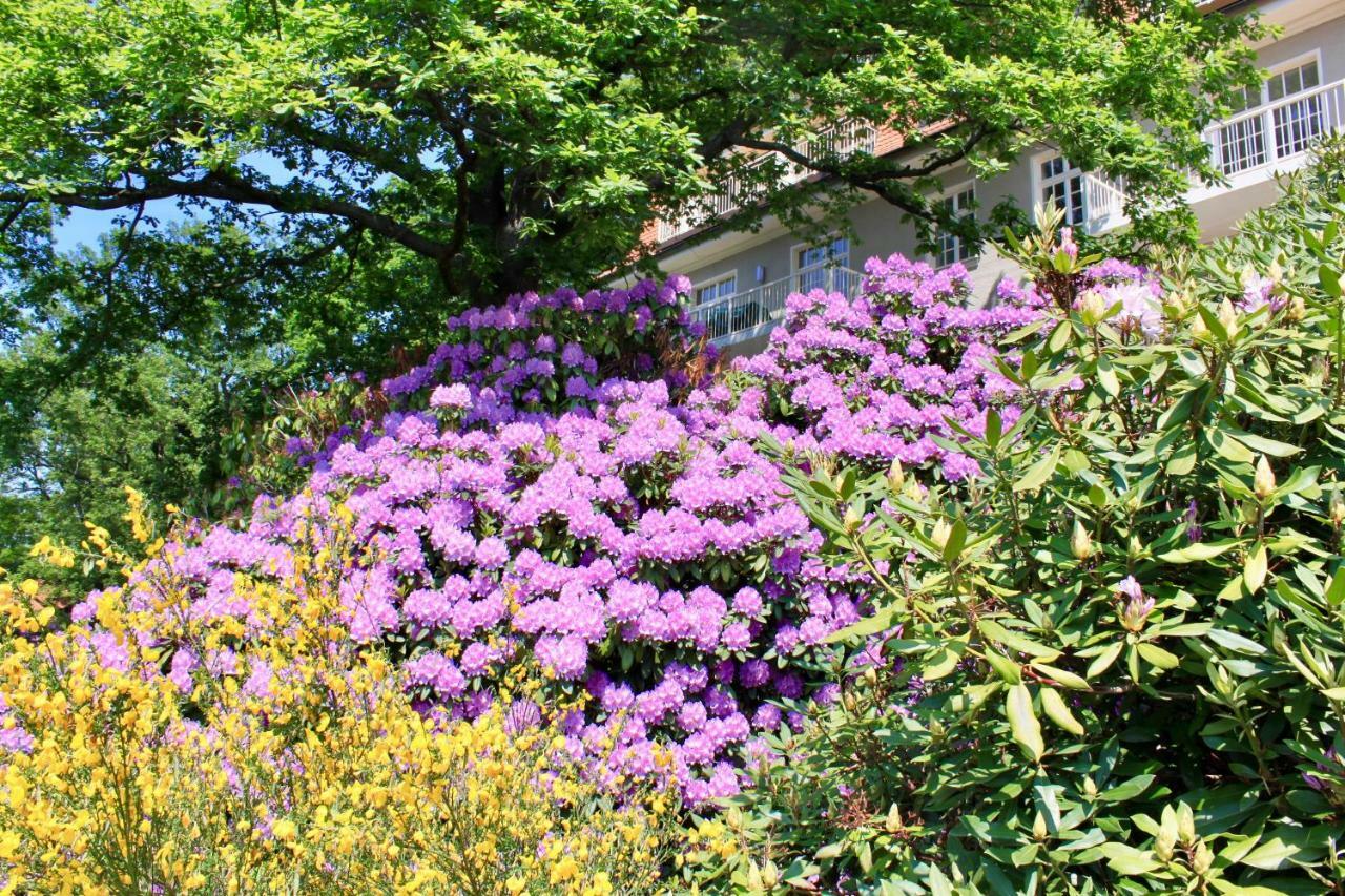 Ferienwohnung Natur Und Kunst Dresden Buitenkant foto