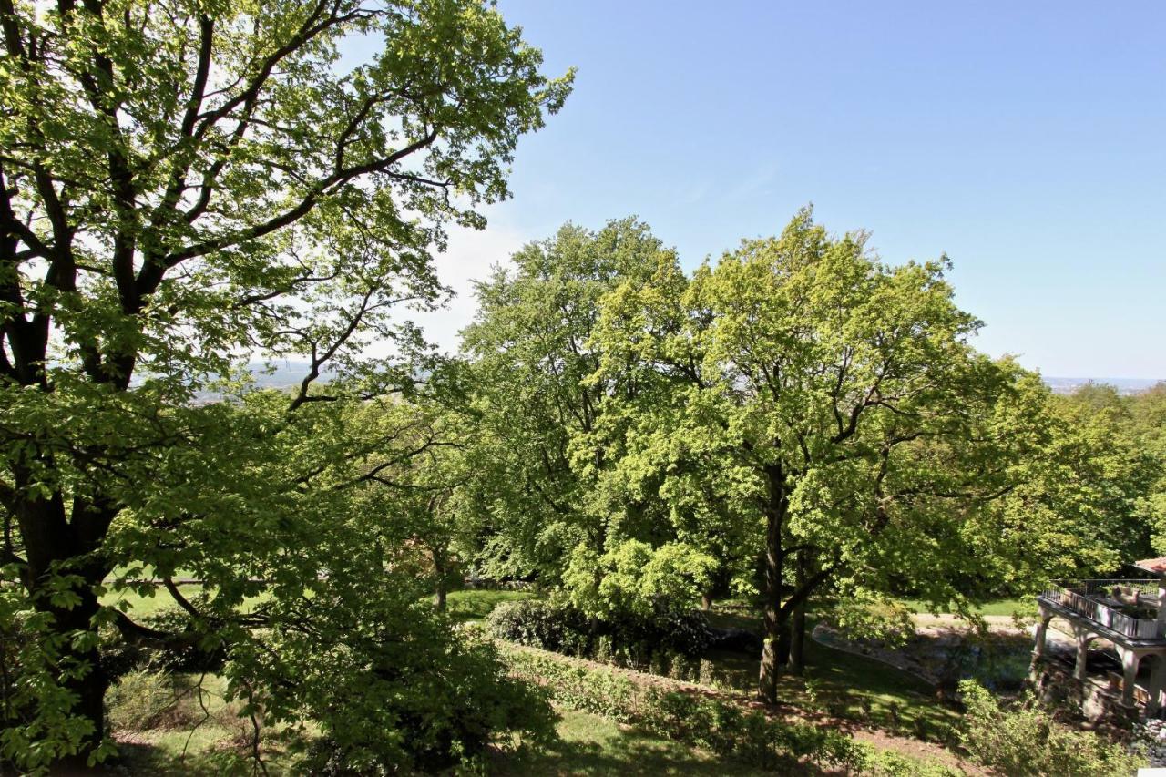 Ferienwohnung Natur Und Kunst Dresden Buitenkant foto