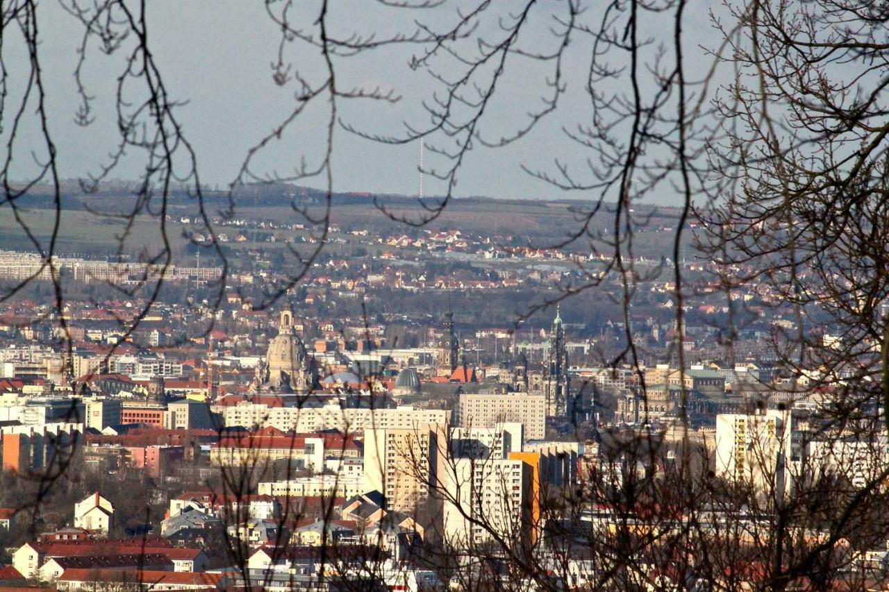 Ferienwohnung Natur Und Kunst Dresden Buitenkant foto