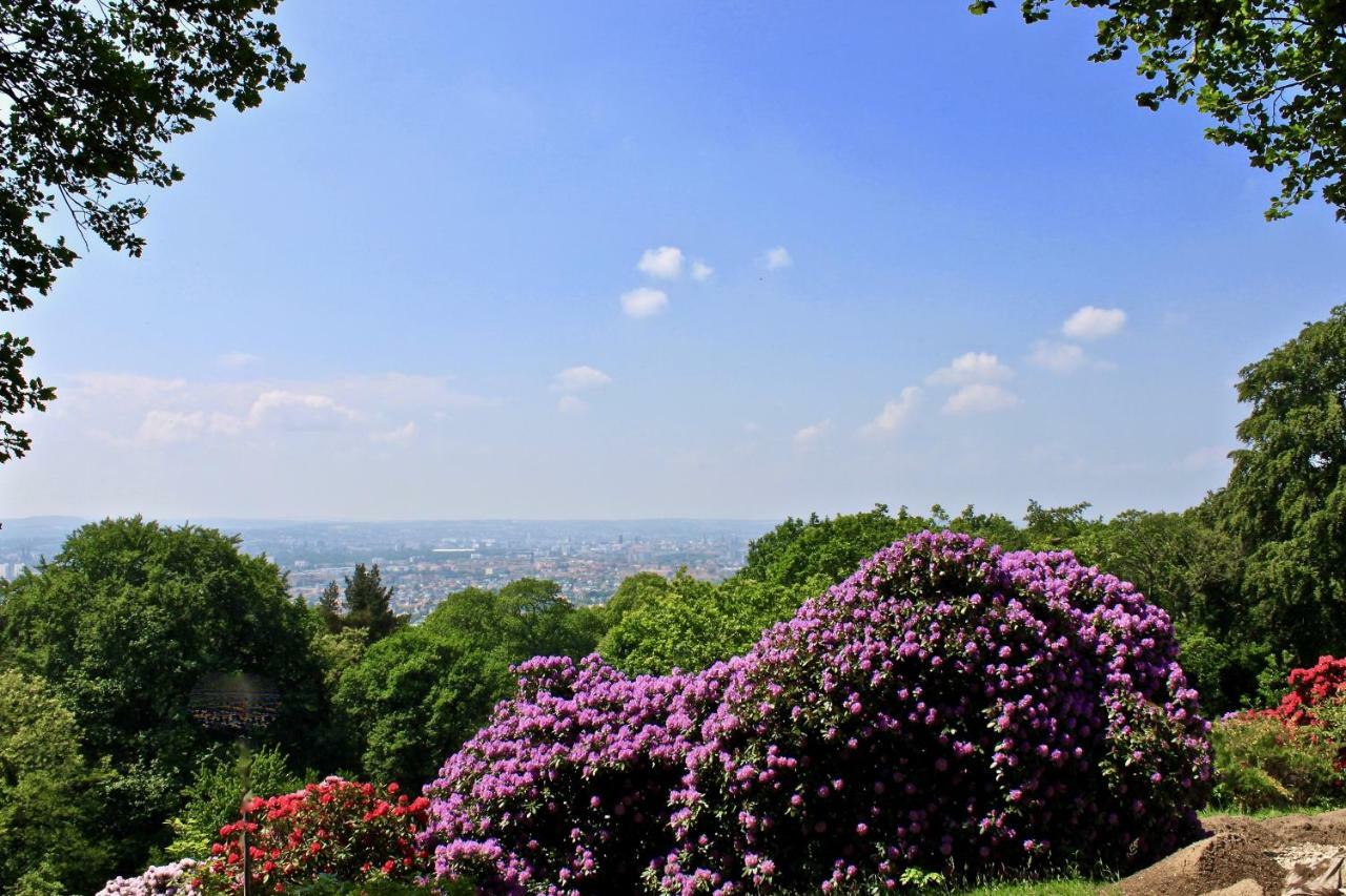 Ferienwohnung Natur Und Kunst Dresden Buitenkant foto