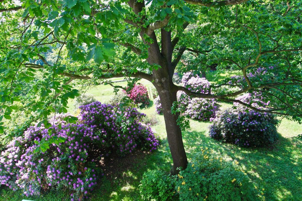Ferienwohnung Natur Und Kunst Dresden Buitenkant foto