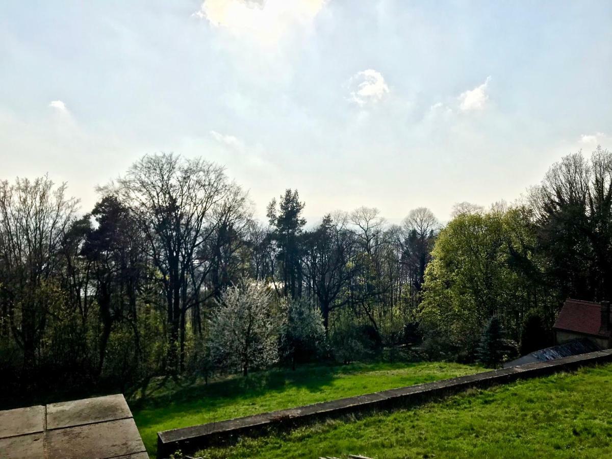 Ferienwohnung Natur Und Kunst Dresden Buitenkant foto