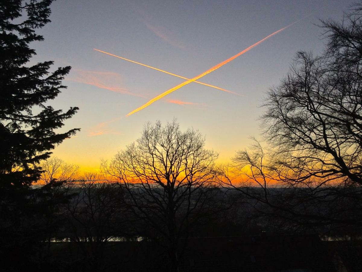 Ferienwohnung Natur Und Kunst Dresden Buitenkant foto