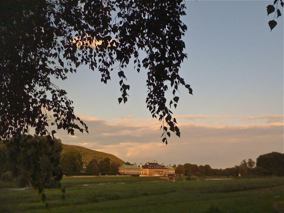 Ferienwohnung Natur Und Kunst Dresden Buitenkant foto