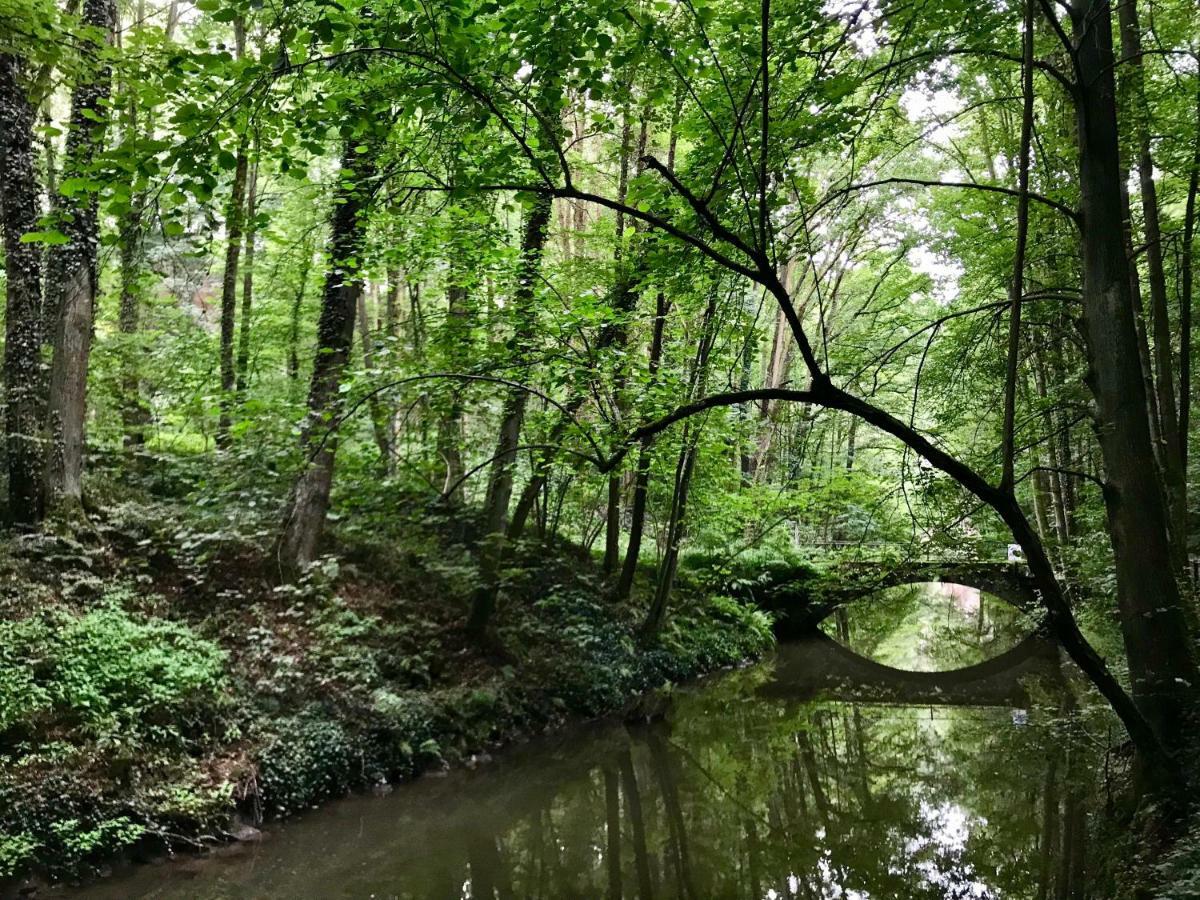 Ferienwohnung Natur Und Kunst Dresden Buitenkant foto