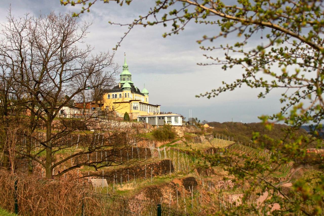 Ferienwohnung Natur Und Kunst Dresden Buitenkant foto