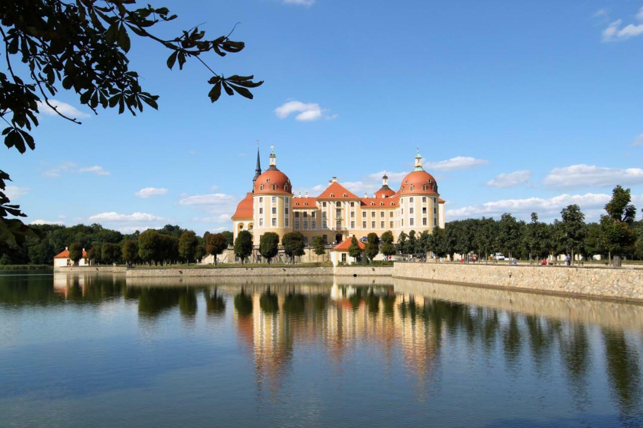 Ferienwohnung Natur Und Kunst Dresden Buitenkant foto