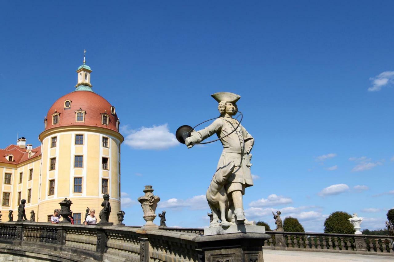 Ferienwohnung Natur Und Kunst Dresden Buitenkant foto